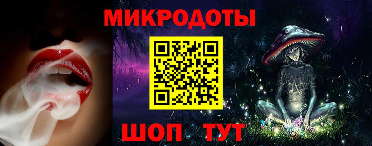 Галлюциногенные грибы Psilocybine cubensis Казань
