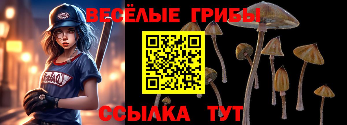 Казань  Галлюциногенные грибы Psilocybe  Вход с VPN  Галлюциногенные грибы MAGIC MUSHROOMS 